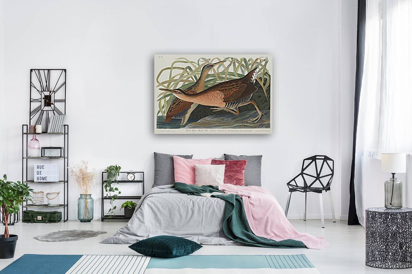 Fresh Water Marsh Hen Reproduction