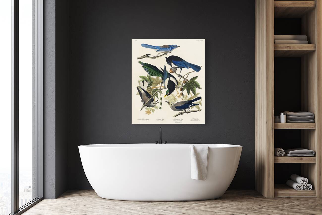 Yellow-Billed Magpie Stellers Jay Ultramarine Jay and Clarks Crow Reproduction