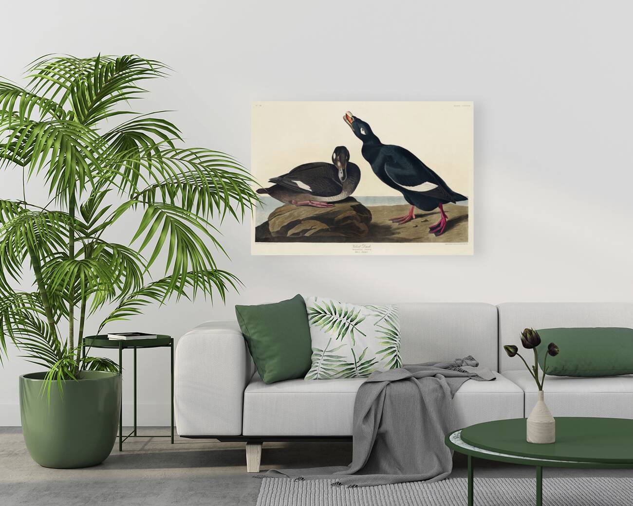 Blue-eyed yellow Warbler Reproduction