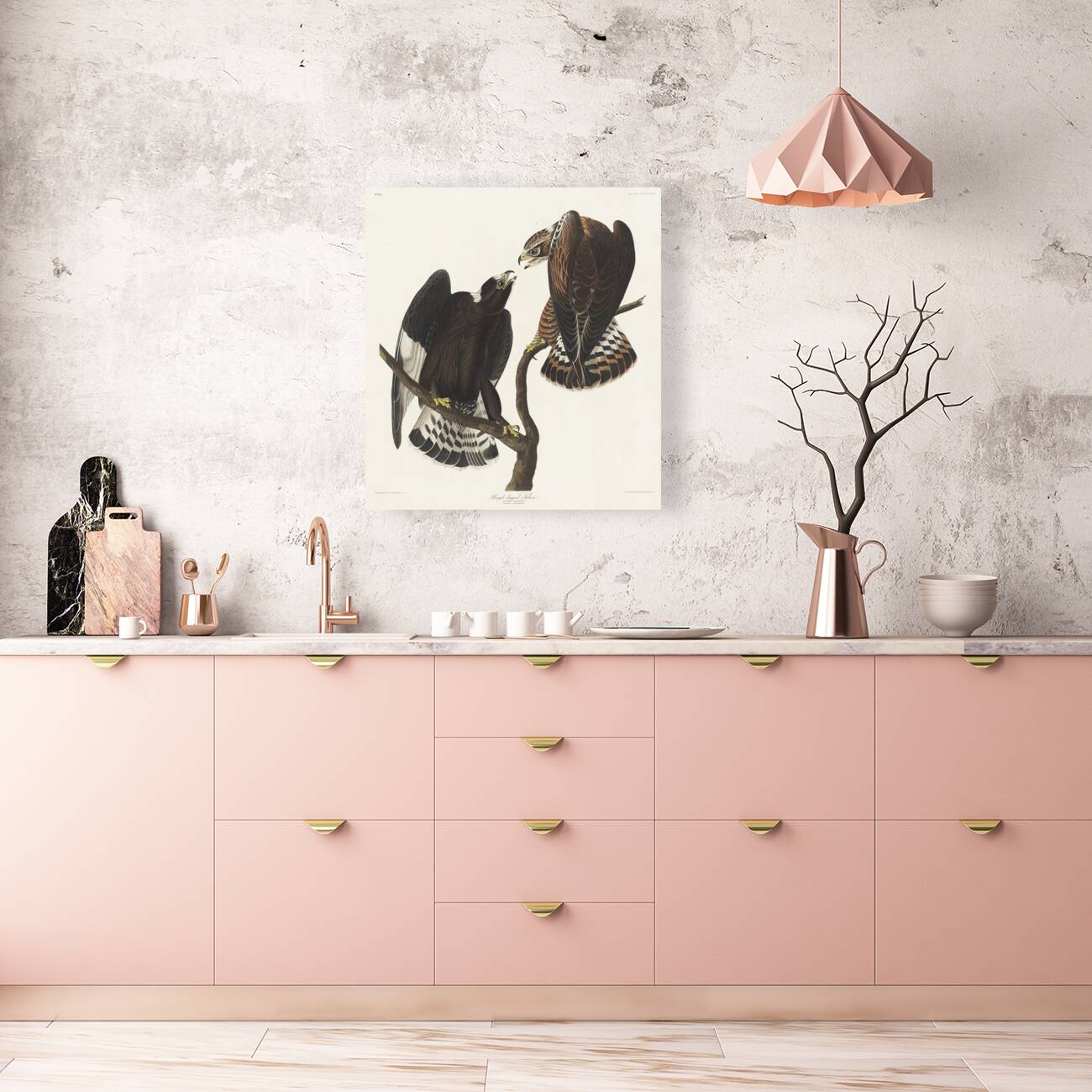 Rough-legged Falcon Reproduction