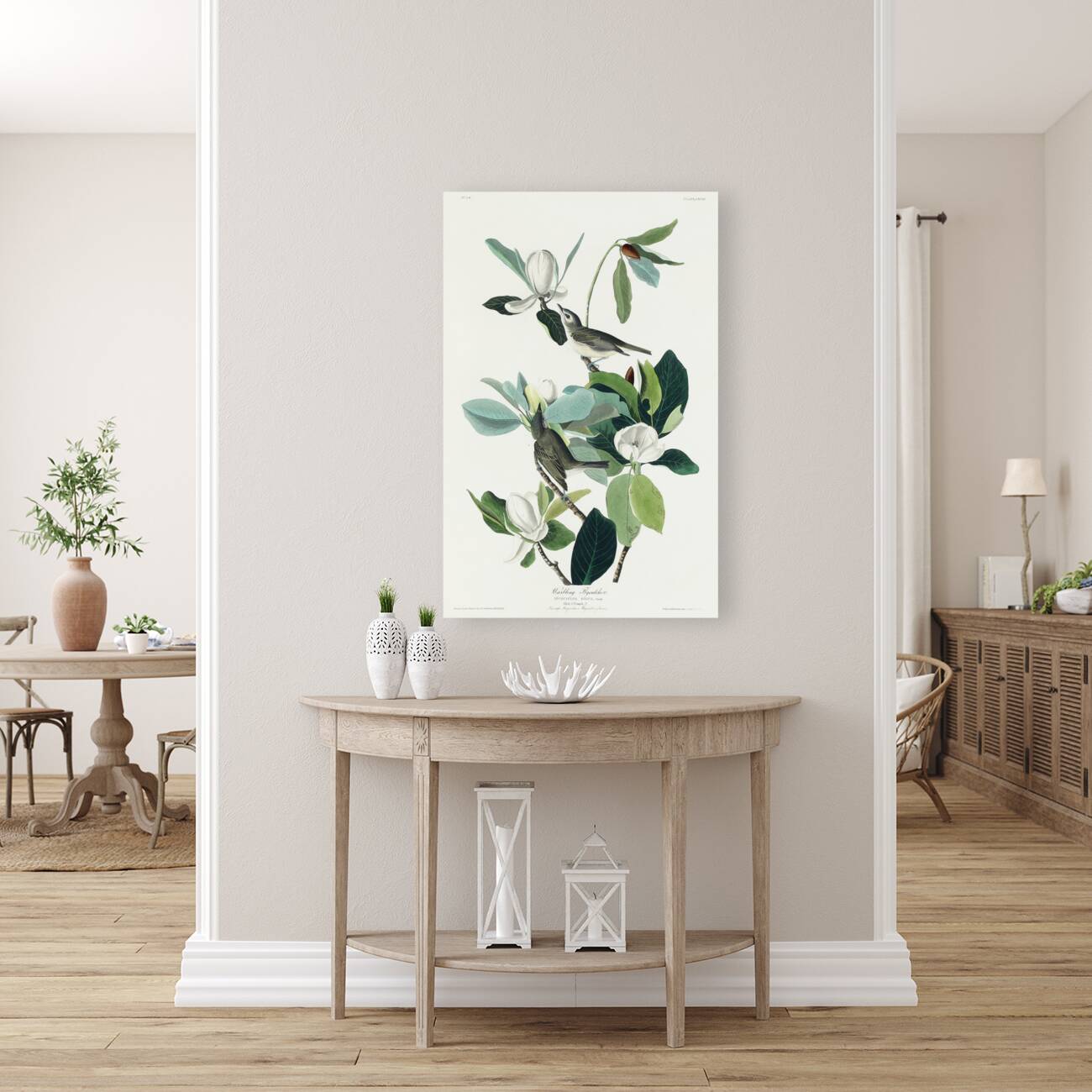 Warbling Flycatcher Reproduction