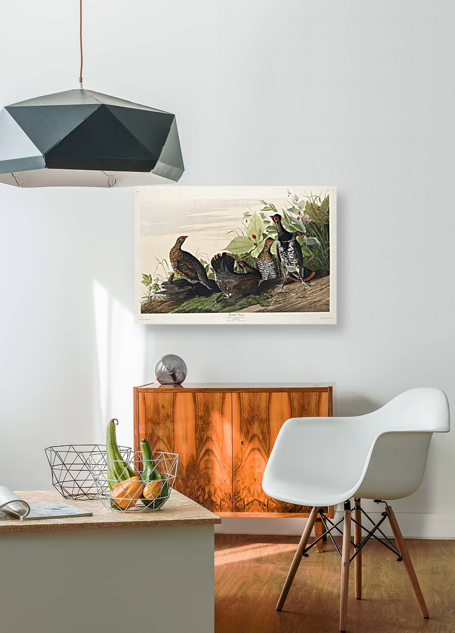 Spotted Grouse Reproduction