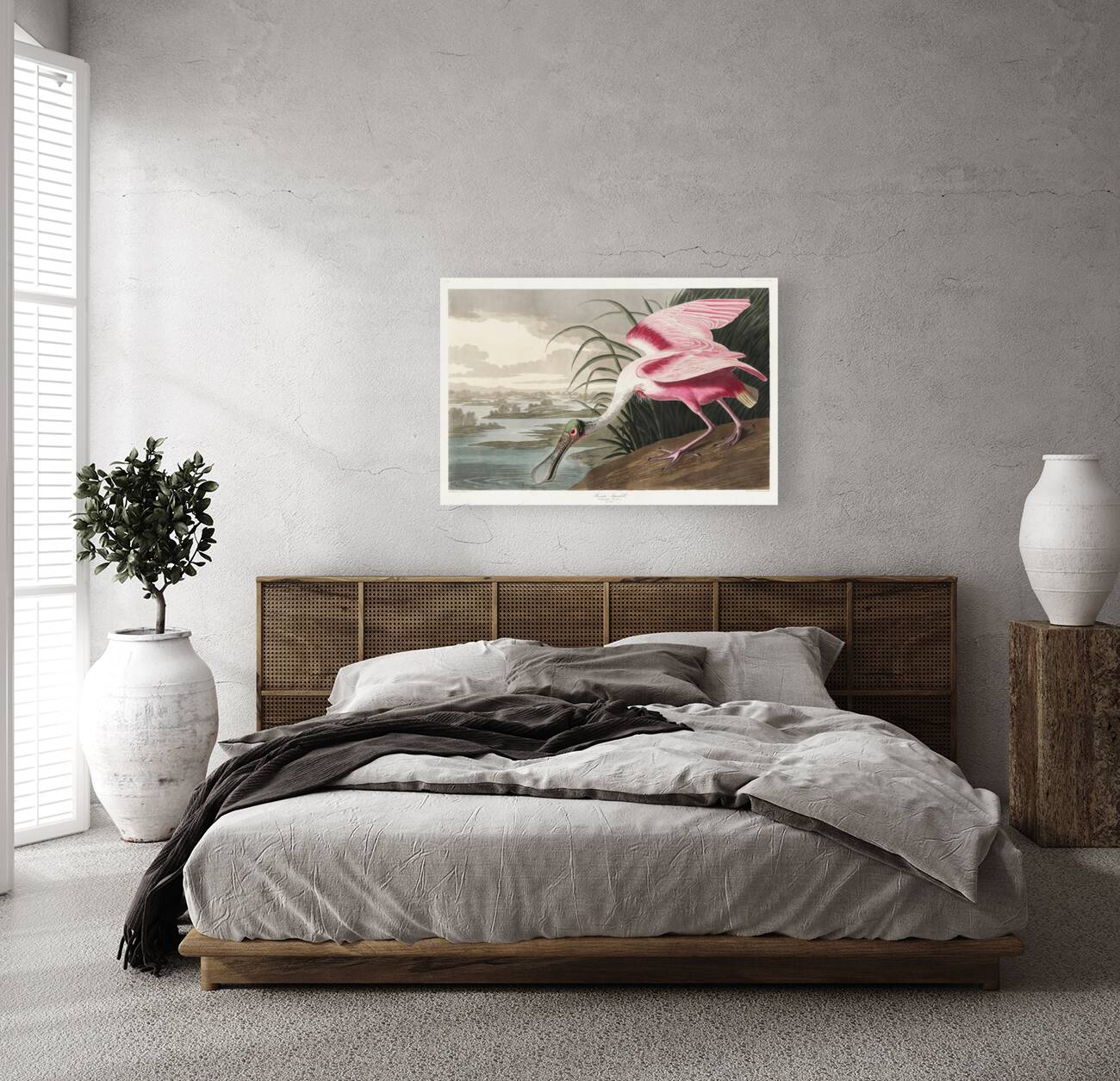 Roseate Spoonbill Reproduction