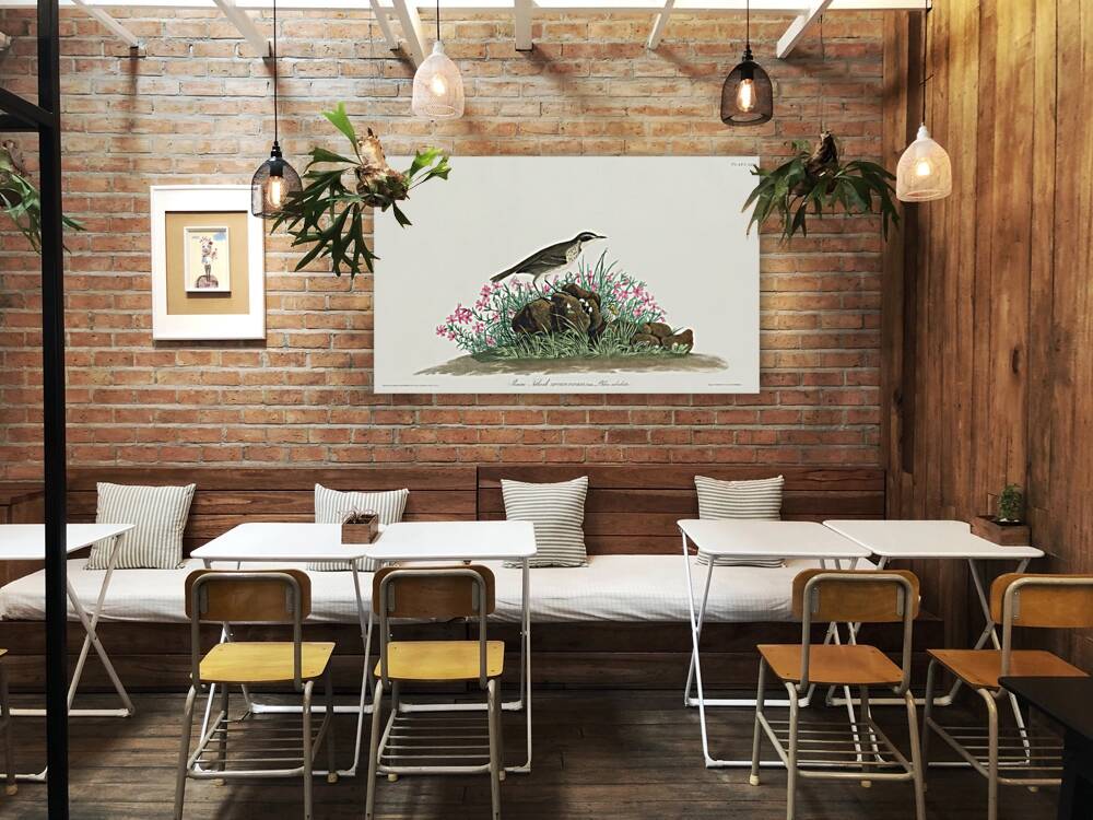 Prairie Titlark Reproduction