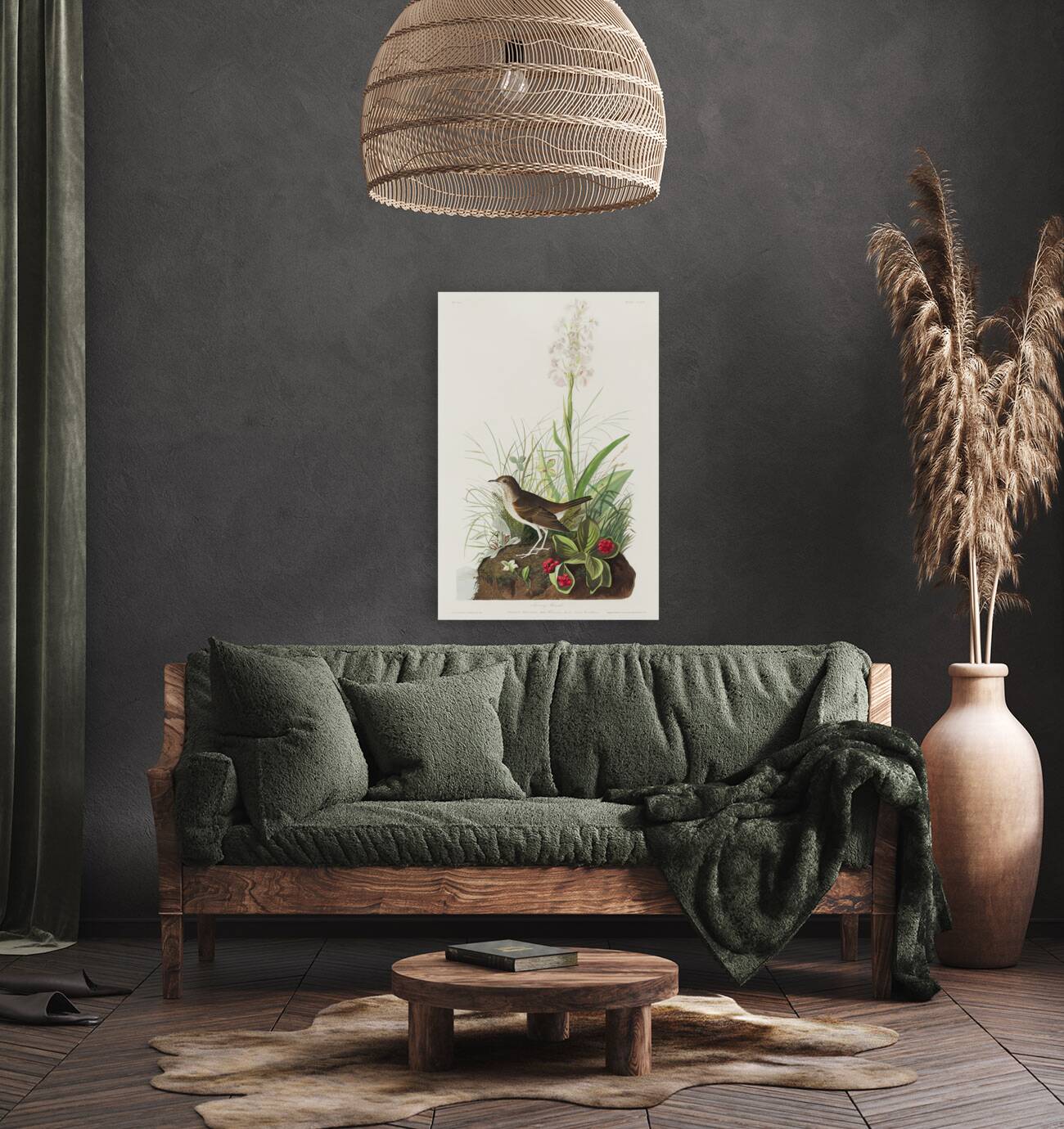 Tawny Thrush Reproduction