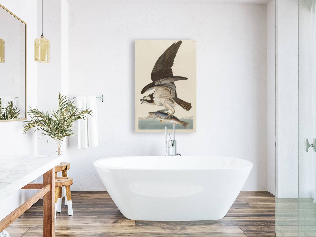 Fish Hawk or Osprey Reproduction