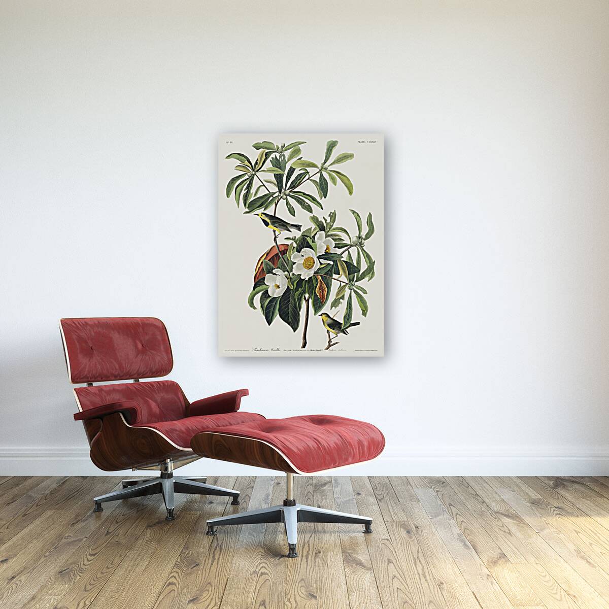 Bachmans Warbler Reproduction