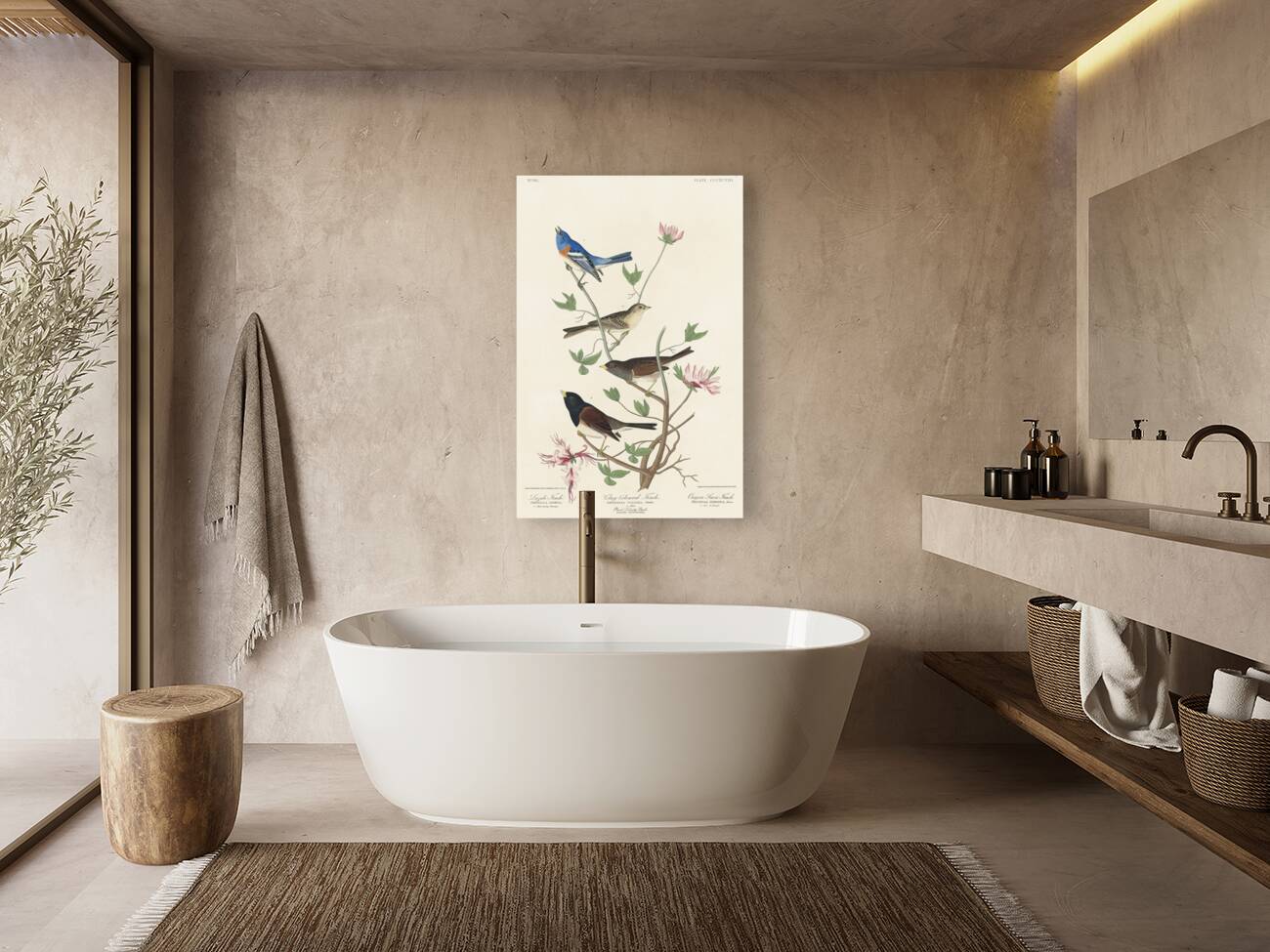 Lazuli Finch Clay-coloured Finch Oregon Snow Finch Reproduction