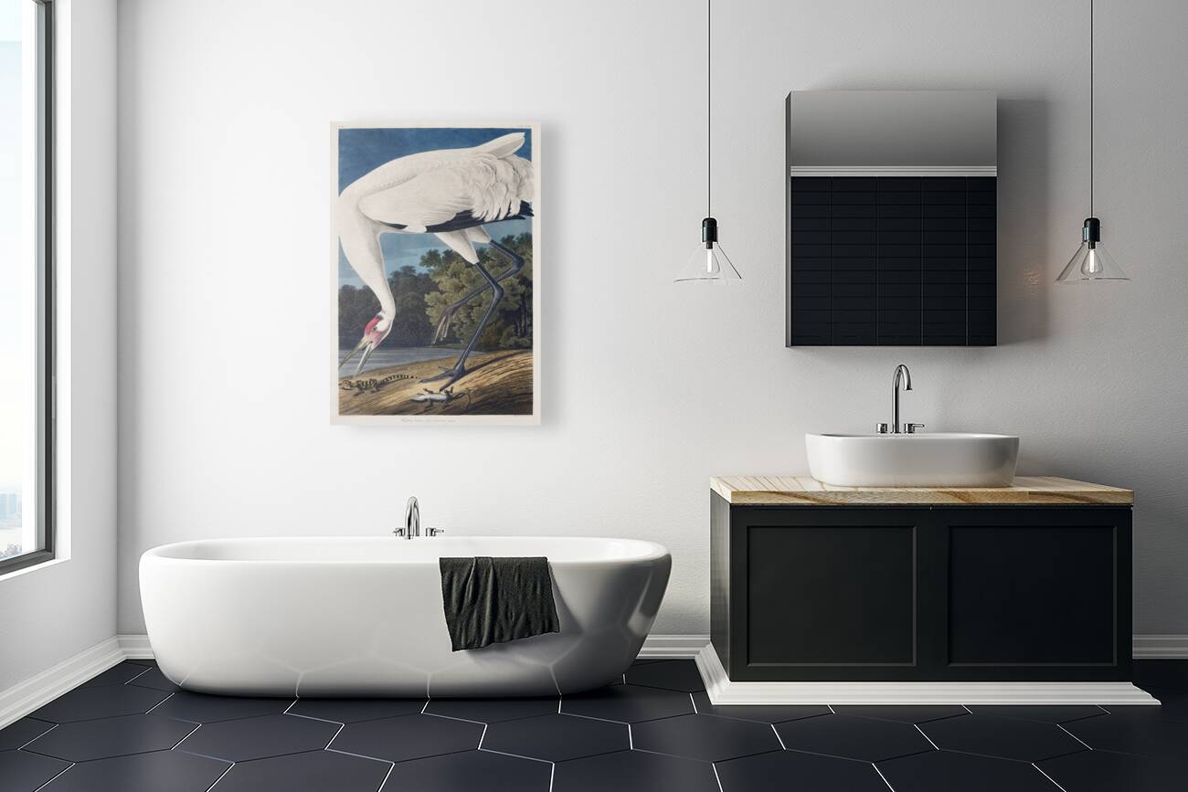 Hooping Crane Reproduction