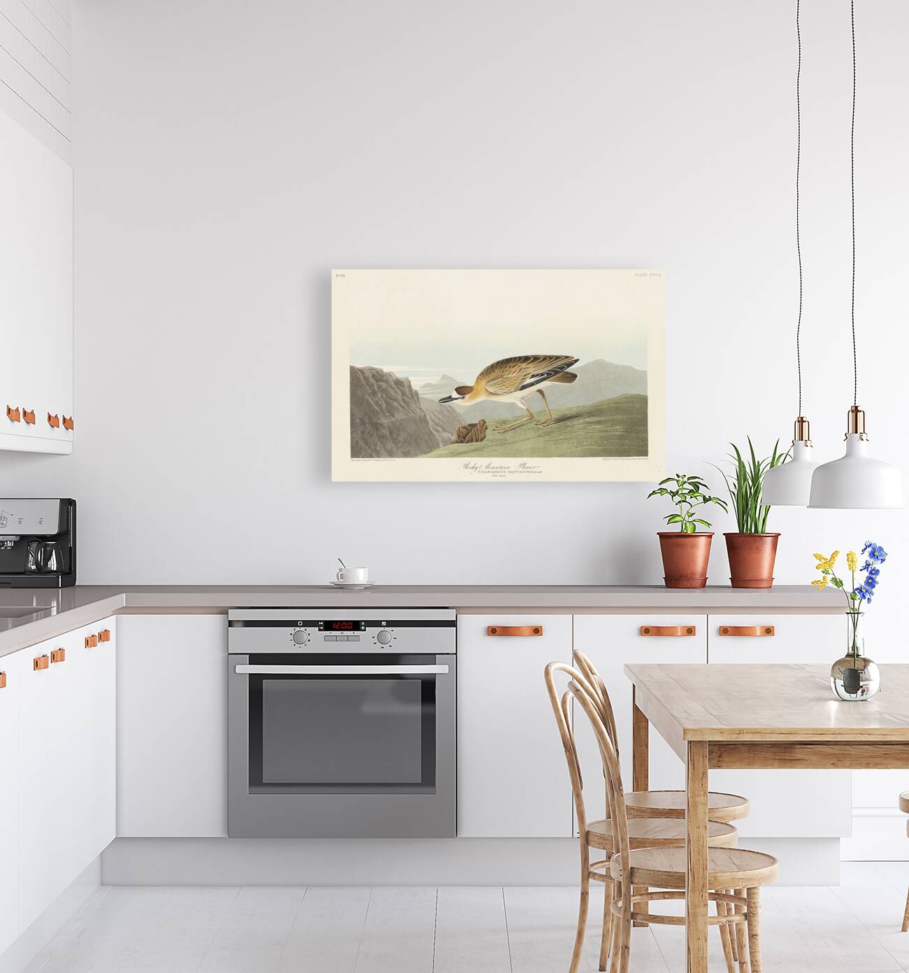 Rocky Mountain Plover Reproduction