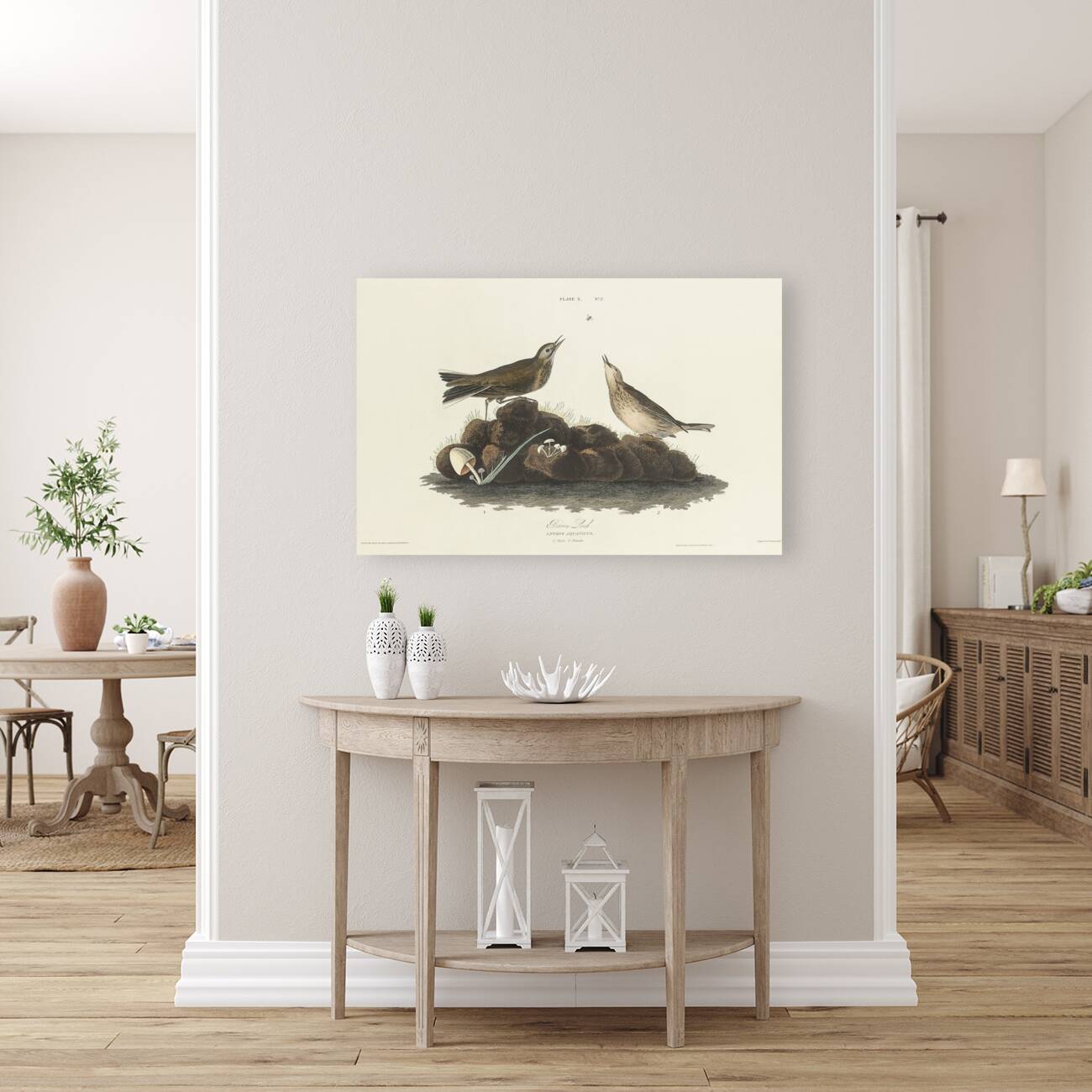 Brown Lark Reproduction