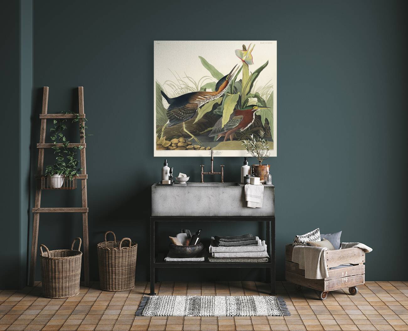 Mango Hummingbird Reproduction