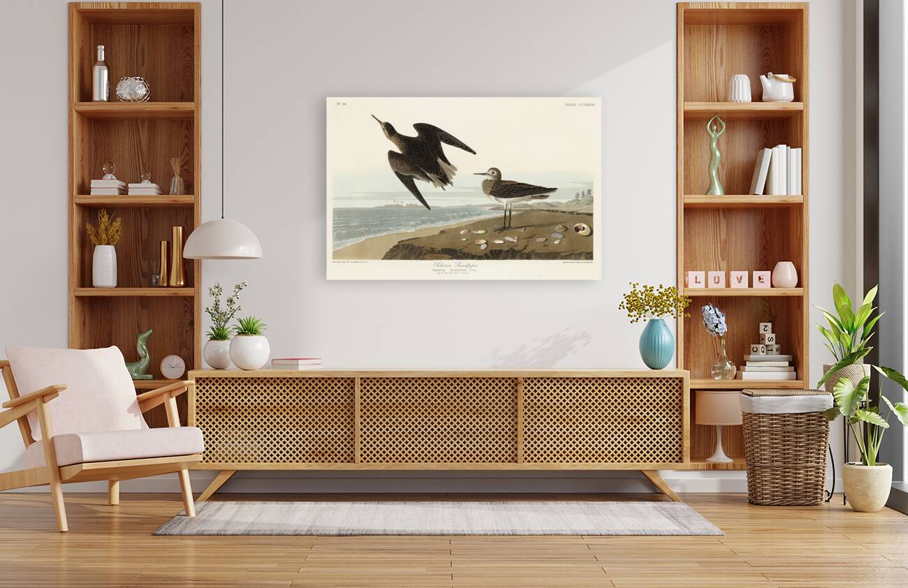 Purple Finch Reproduction