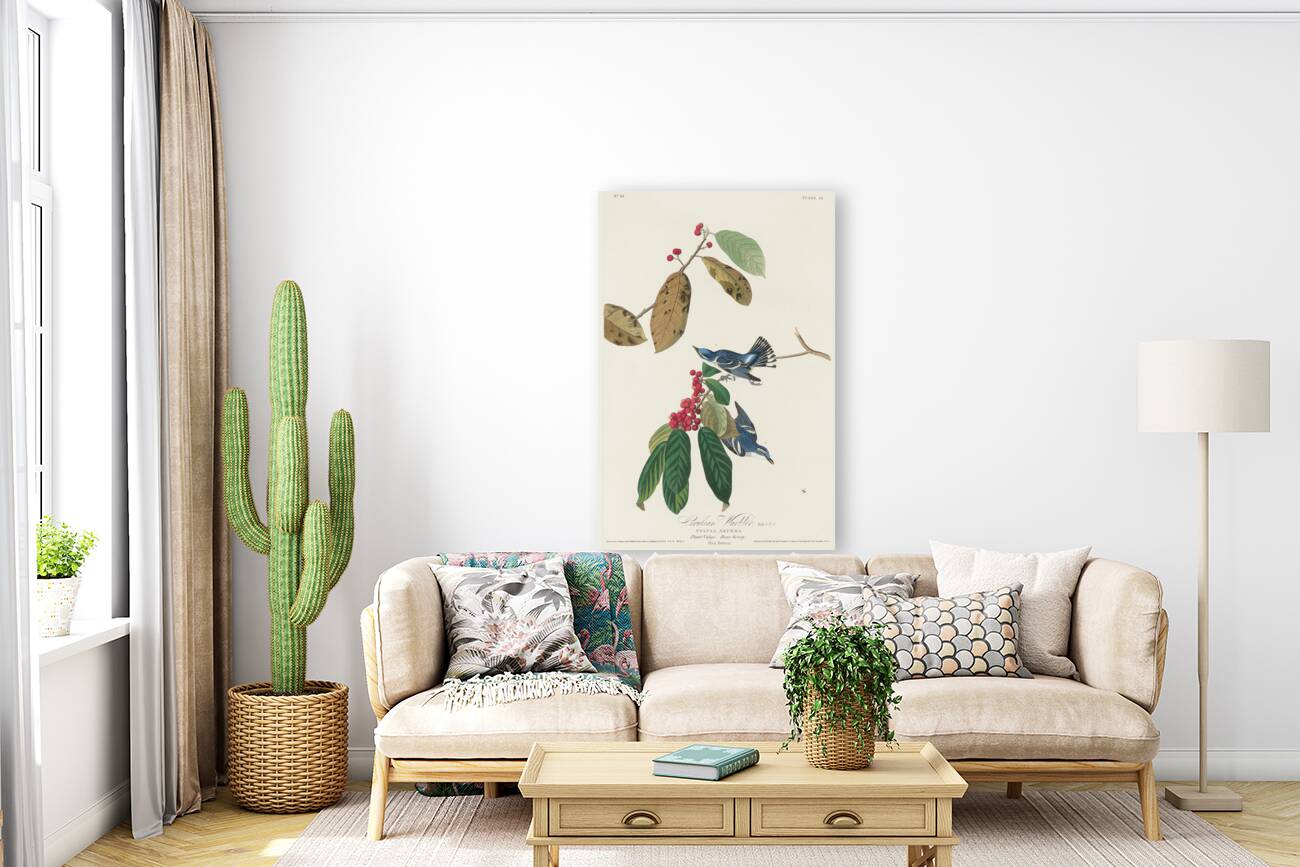 Fish Crow Reproduction