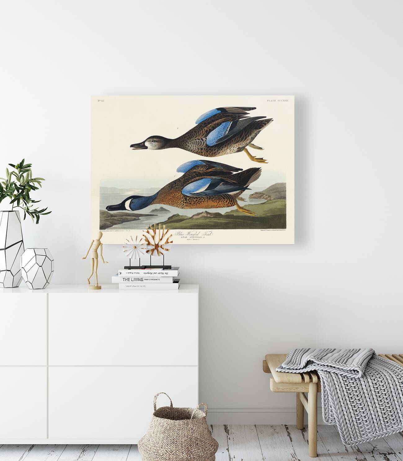 Blue-Winged Teal Reproduction