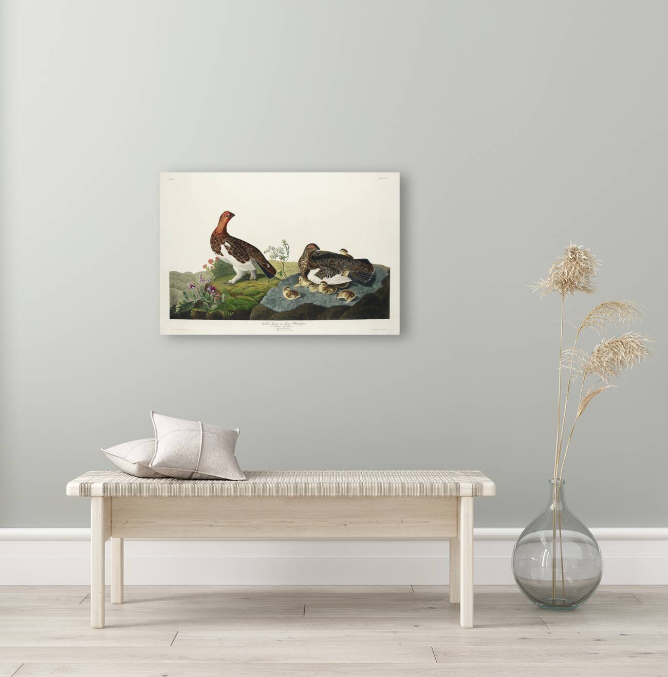 Willow Grouse or Large Ptarmigan Reproduction