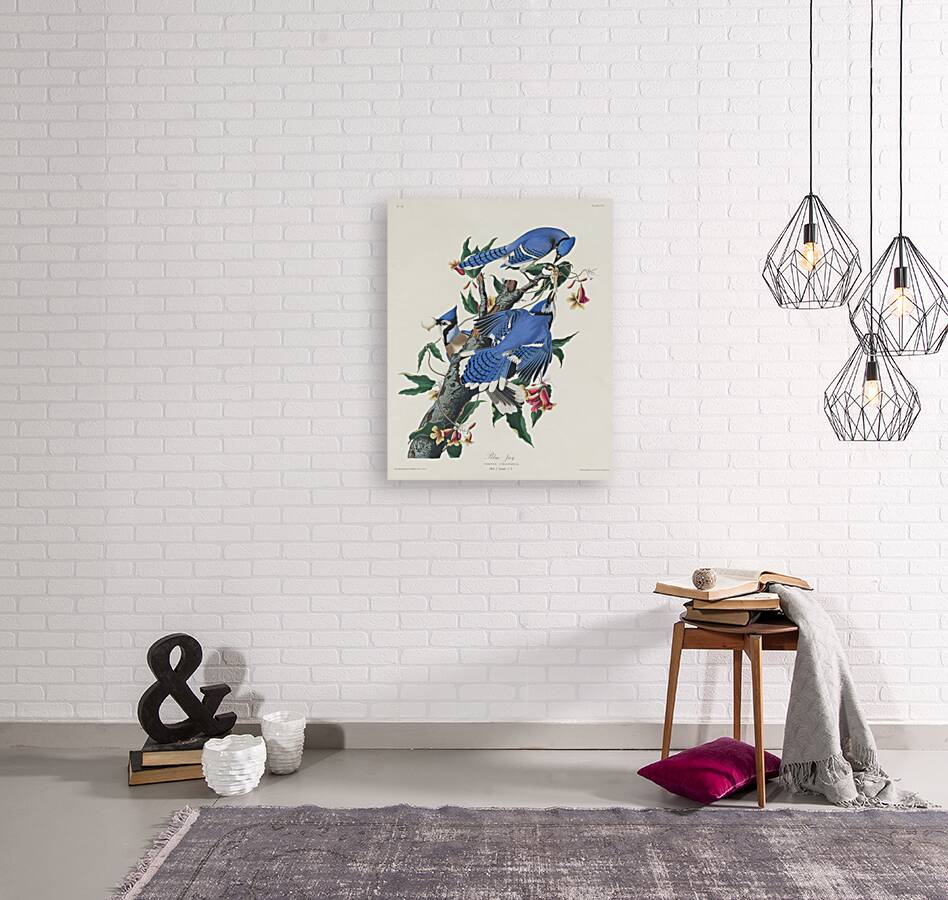 Blue Jay Reproduction