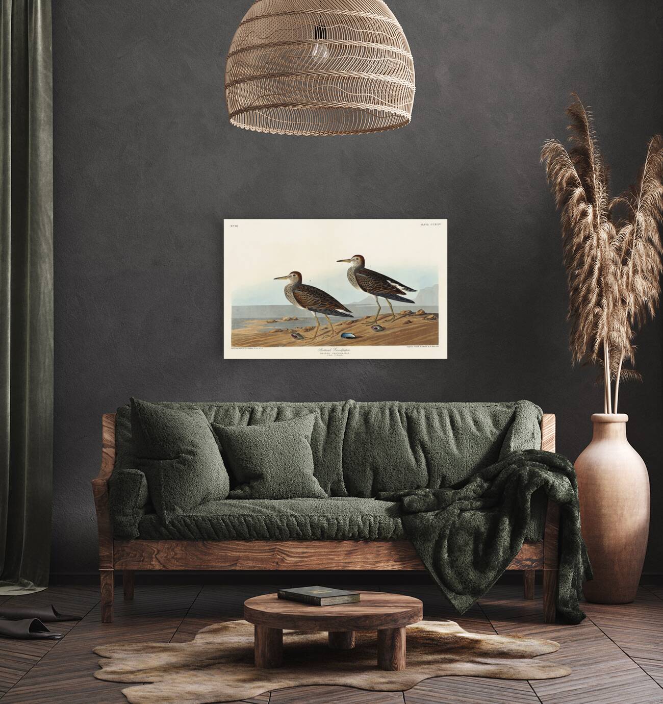 Pectoral Sandpiper Reproduction