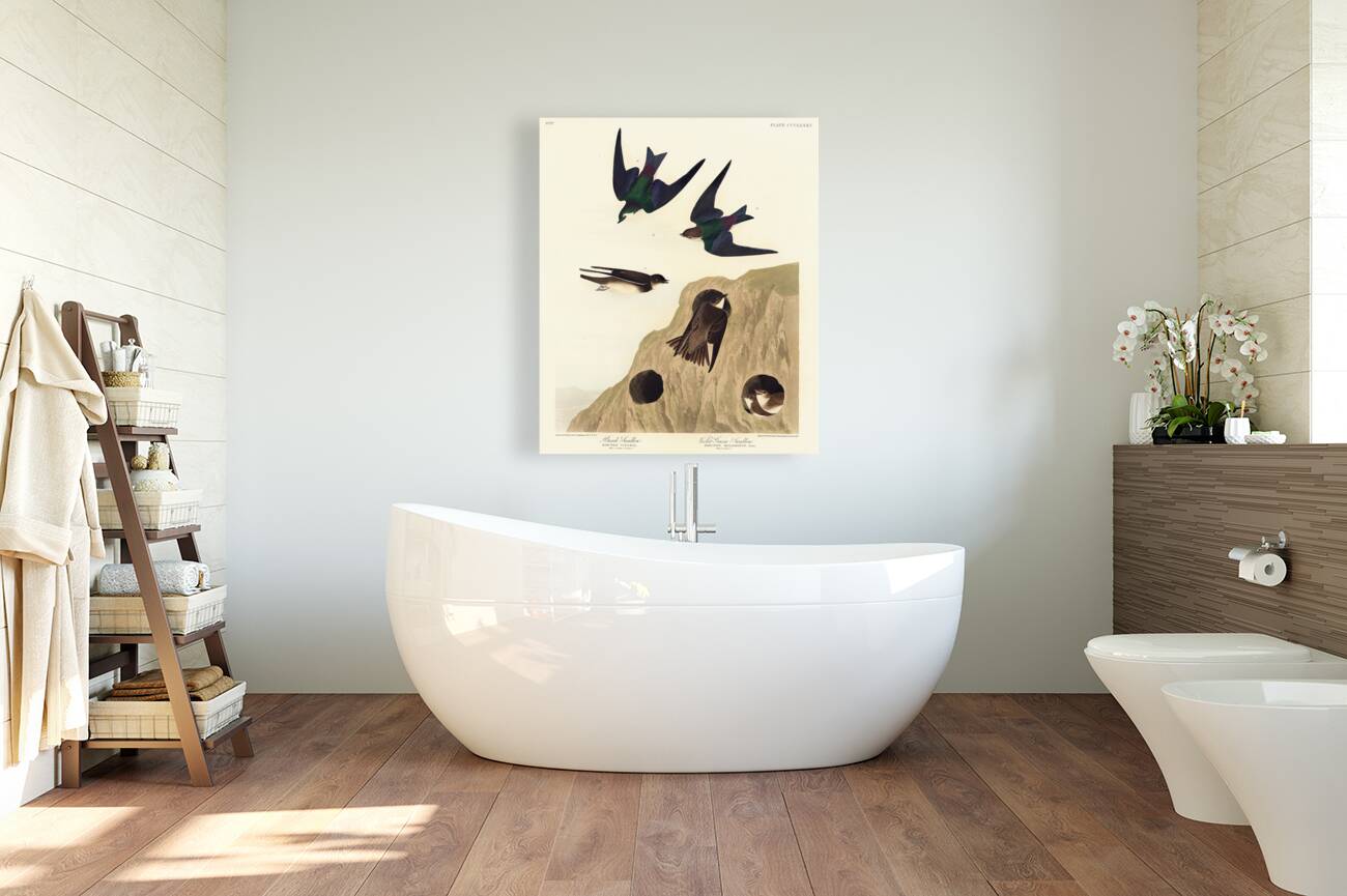 Bank Swallow and Violet-green Swallow Reproduction