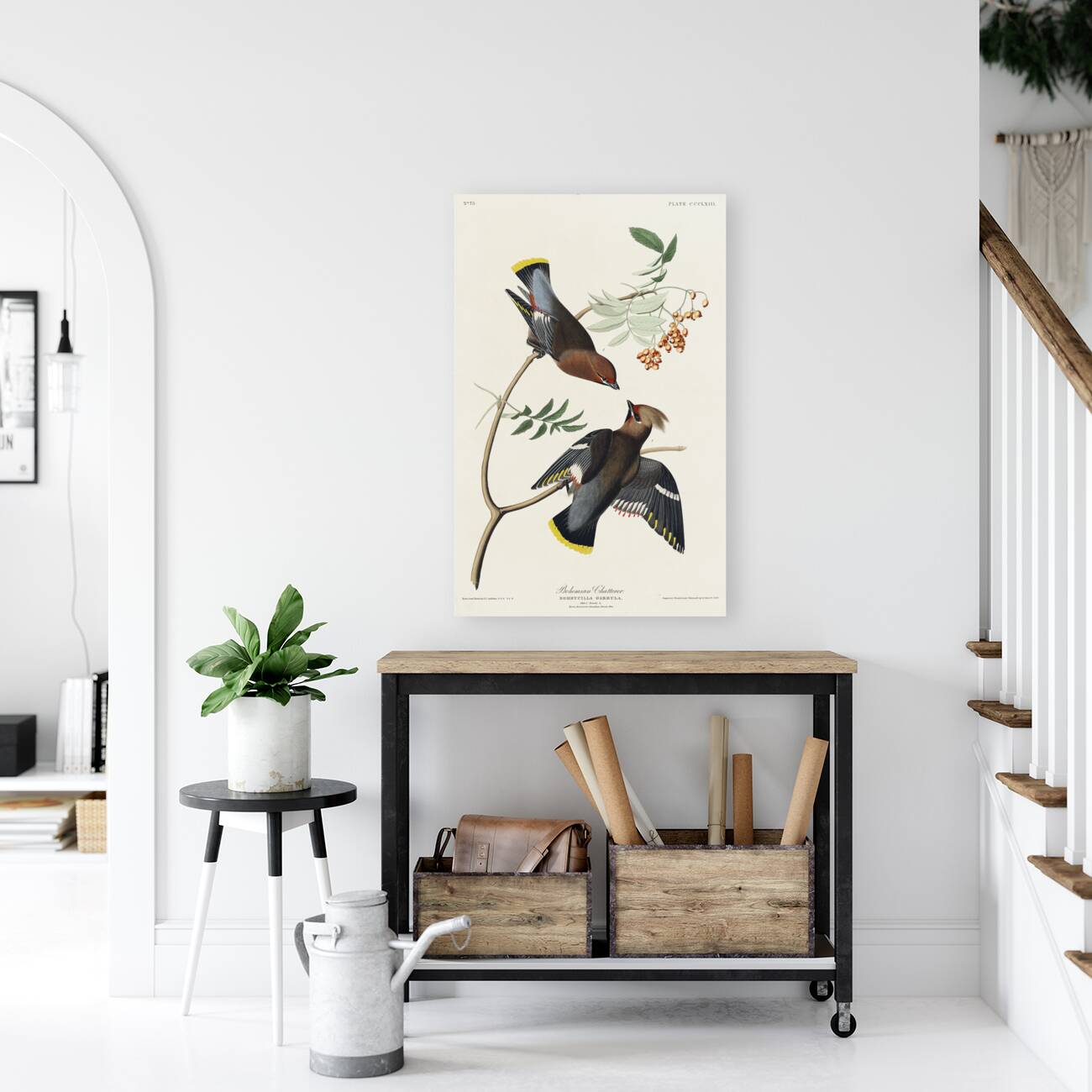 Rusty Grakle Reproduction