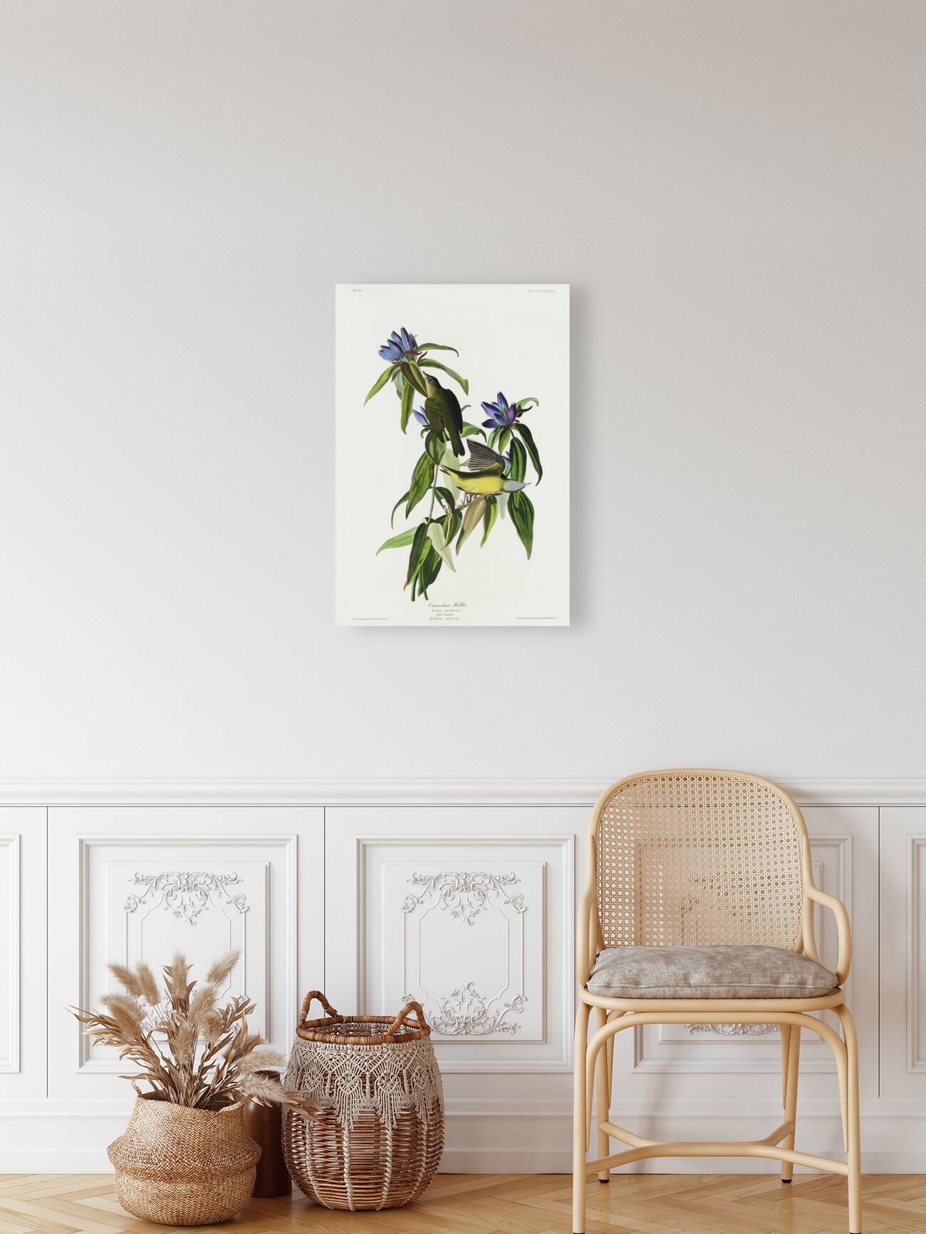 Connecticut Warbler Reproduction