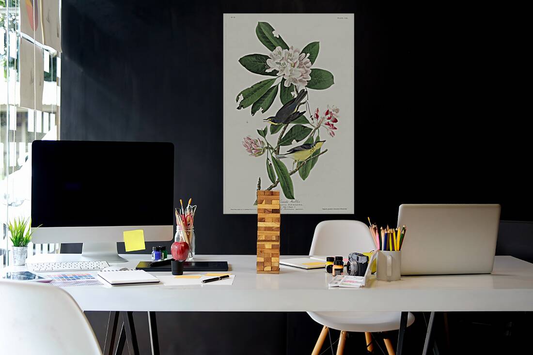 Canada Warbler Reproduction