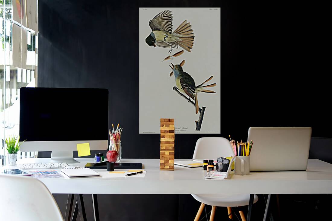 Great Crested Flycatcher Reproduction