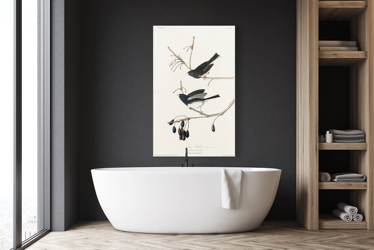 Snow Bird Reproduction