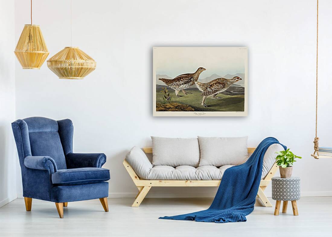 Sharp-tailed Grouse Reproduction