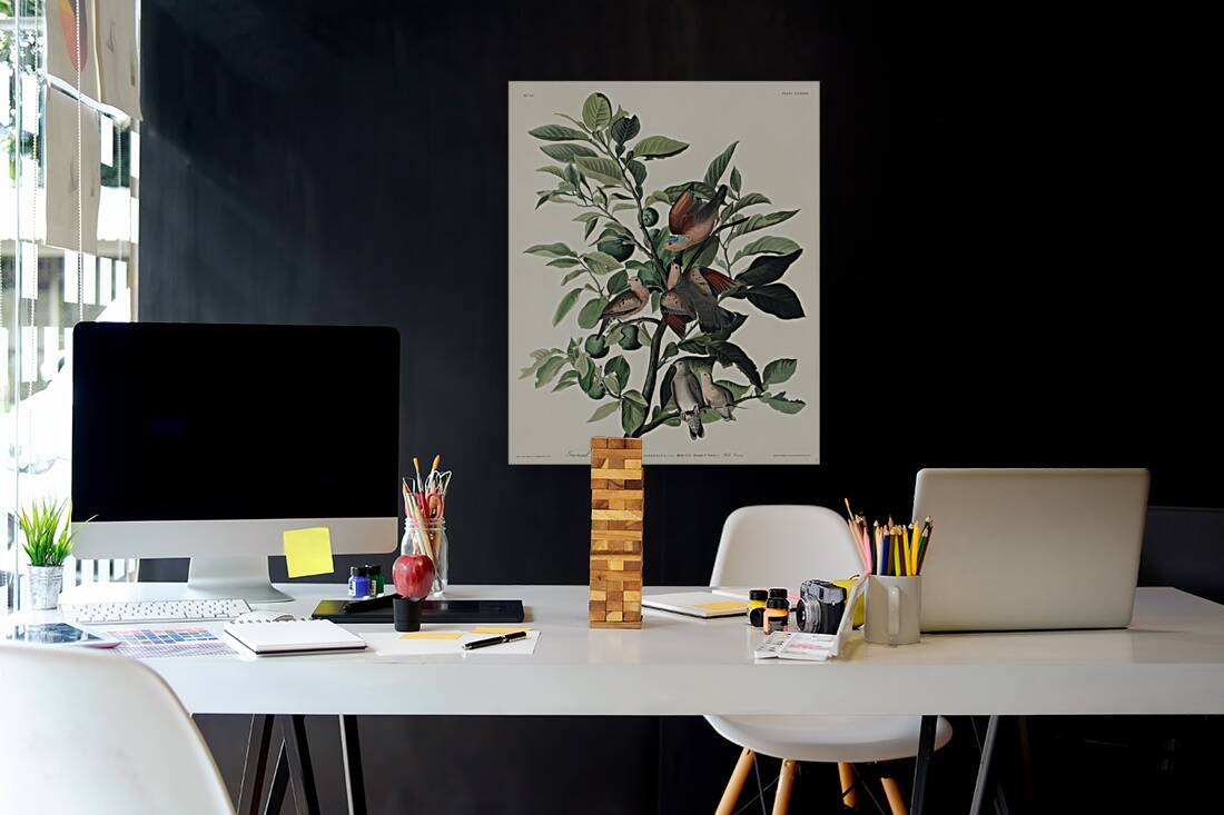 Ground Dove Reproduction