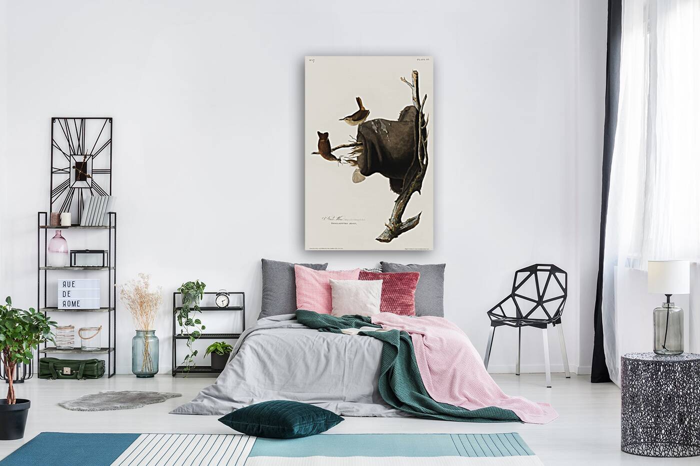 House Wren Reproduction