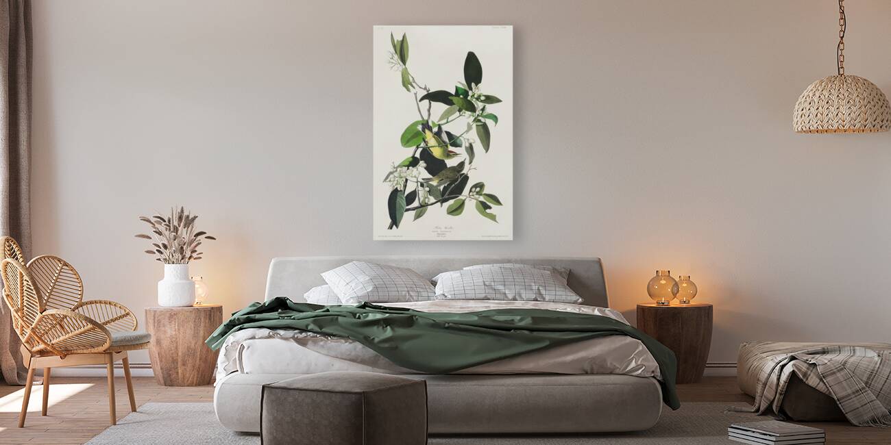 Palm Warbler Reproduction