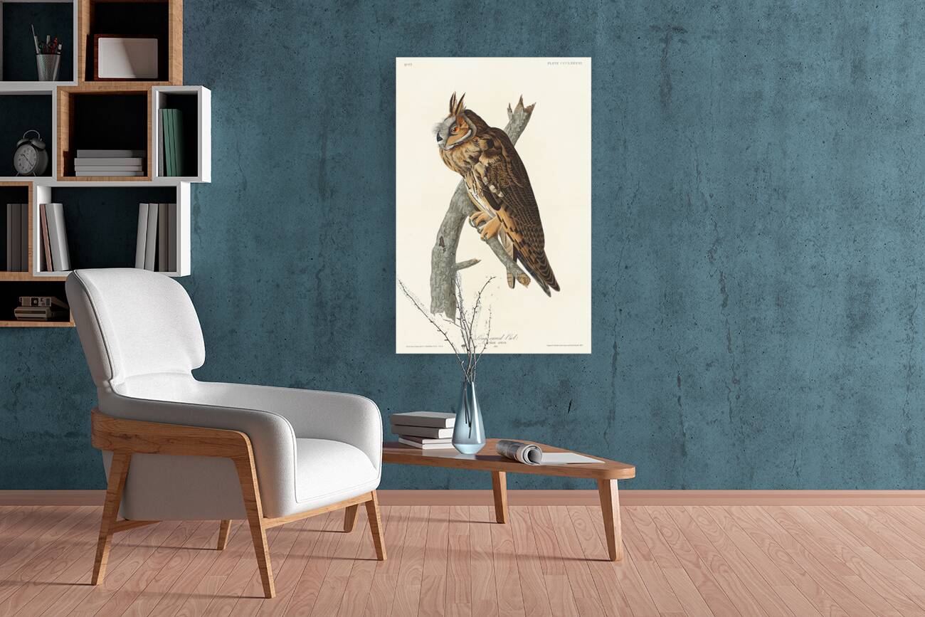 Long-eared Owl Reproduction