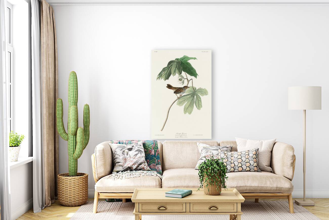 Swamp Sparrow Reproduction