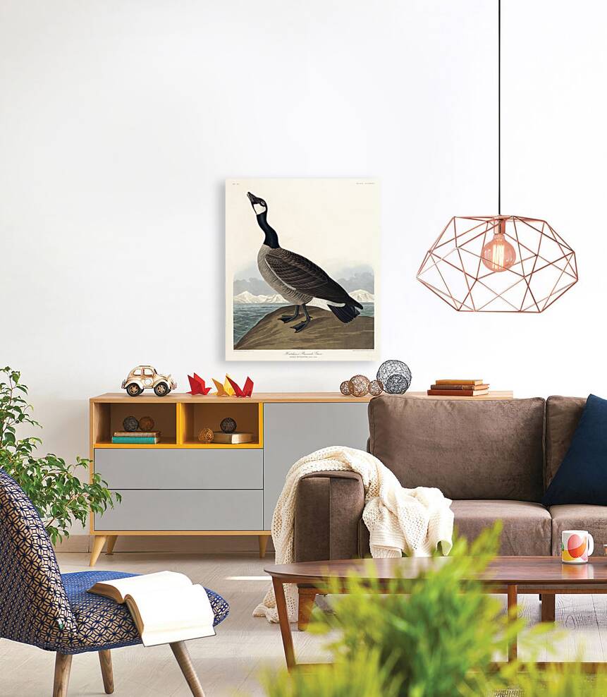 Hutchinss Barnacle Goose Reproduction