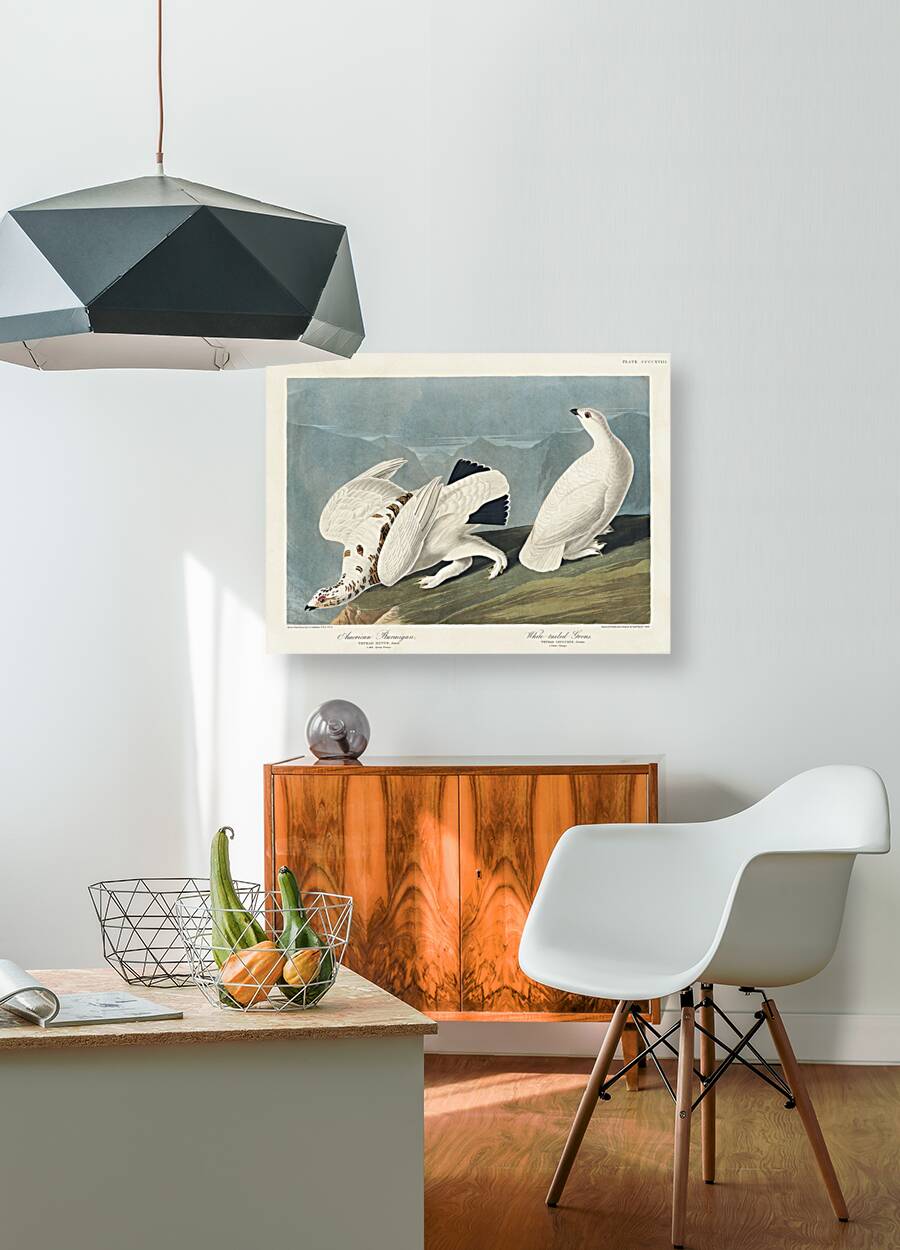 American Ptarmigan and White-tailed Grous Reproduction