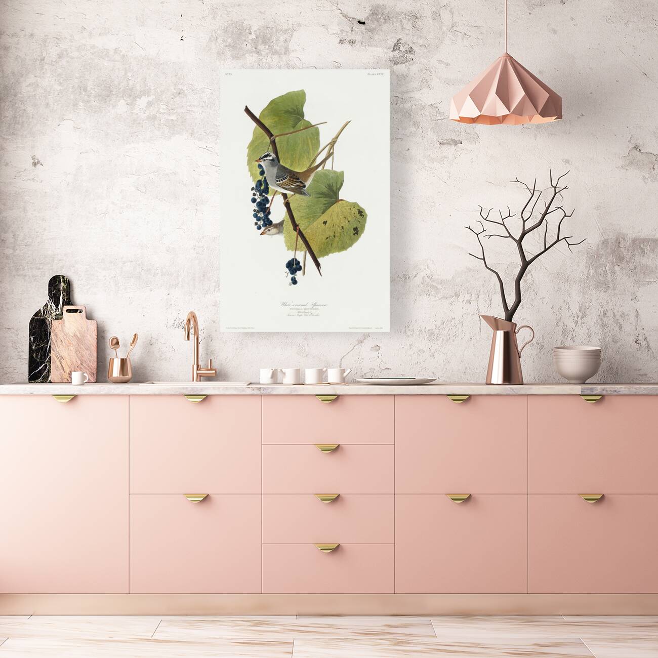 White-crowned Sparrow Reproduction