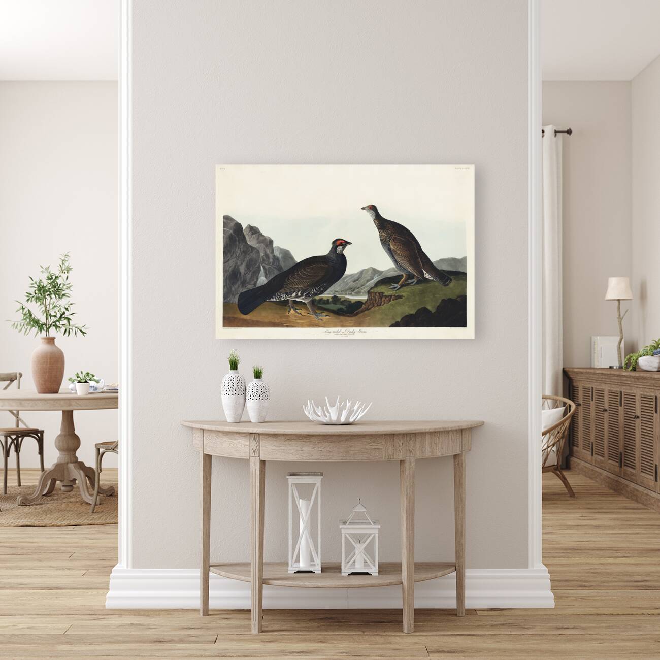 Long-tailed or Dusky Grous Reproduction