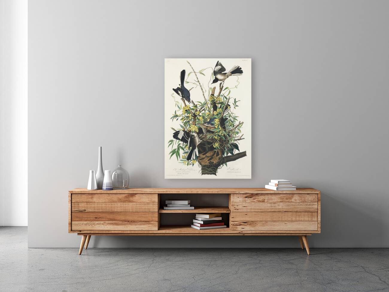 Mocking Bird Reproduction