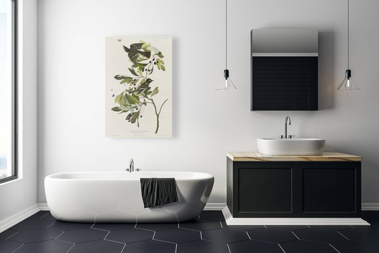 Small Green Crested Flycatcher Reproduction