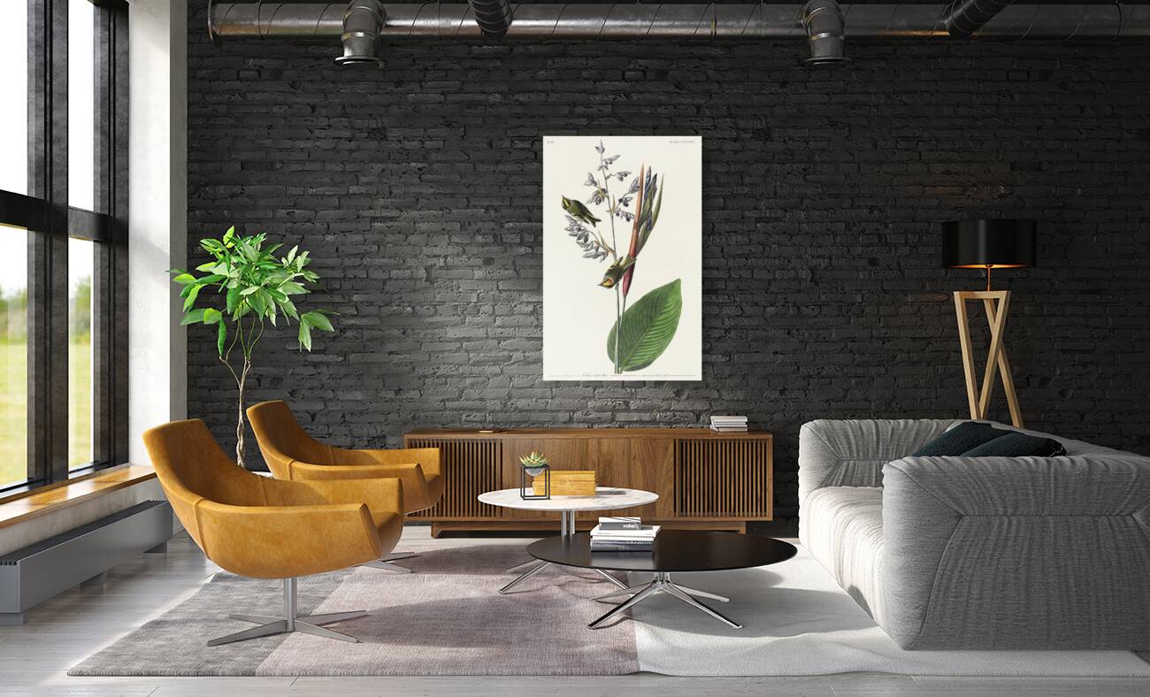 American Golden crested-Wren Reproduction