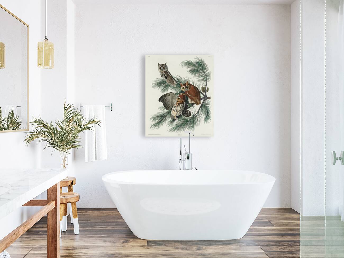 Little Screech Owl Reproduction