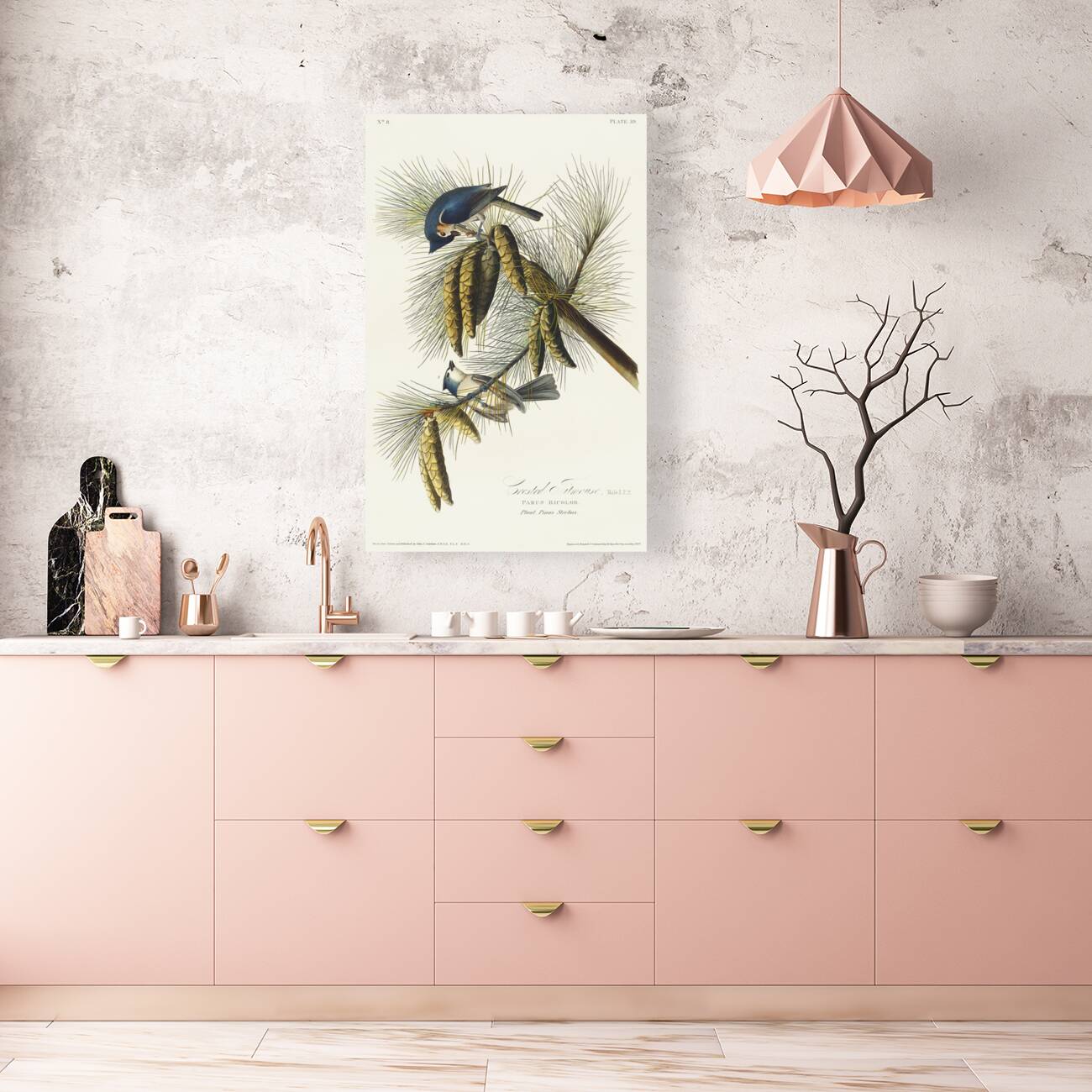 Crested Titmouse Reproduction