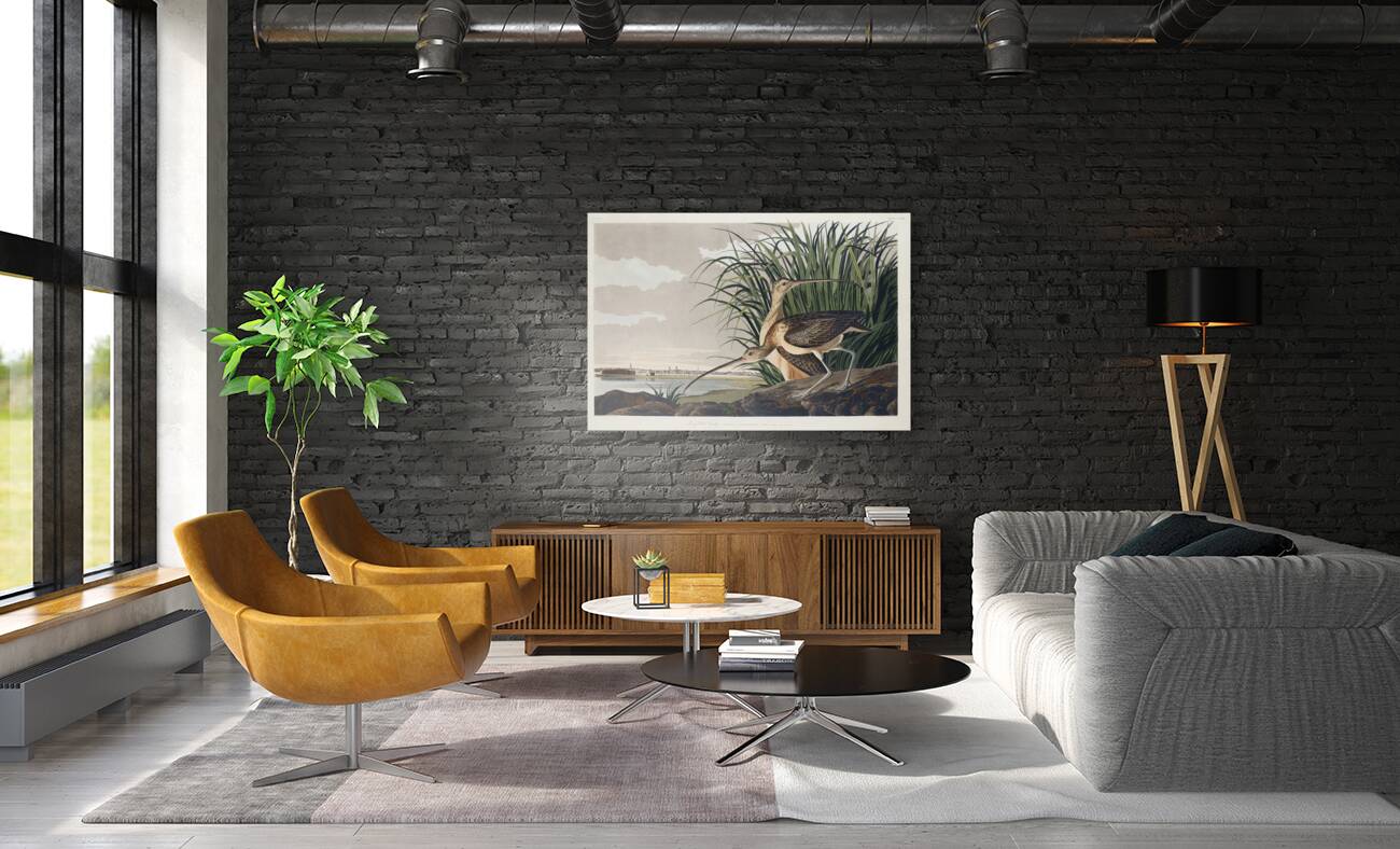 Long-billed Curlew Reproduction