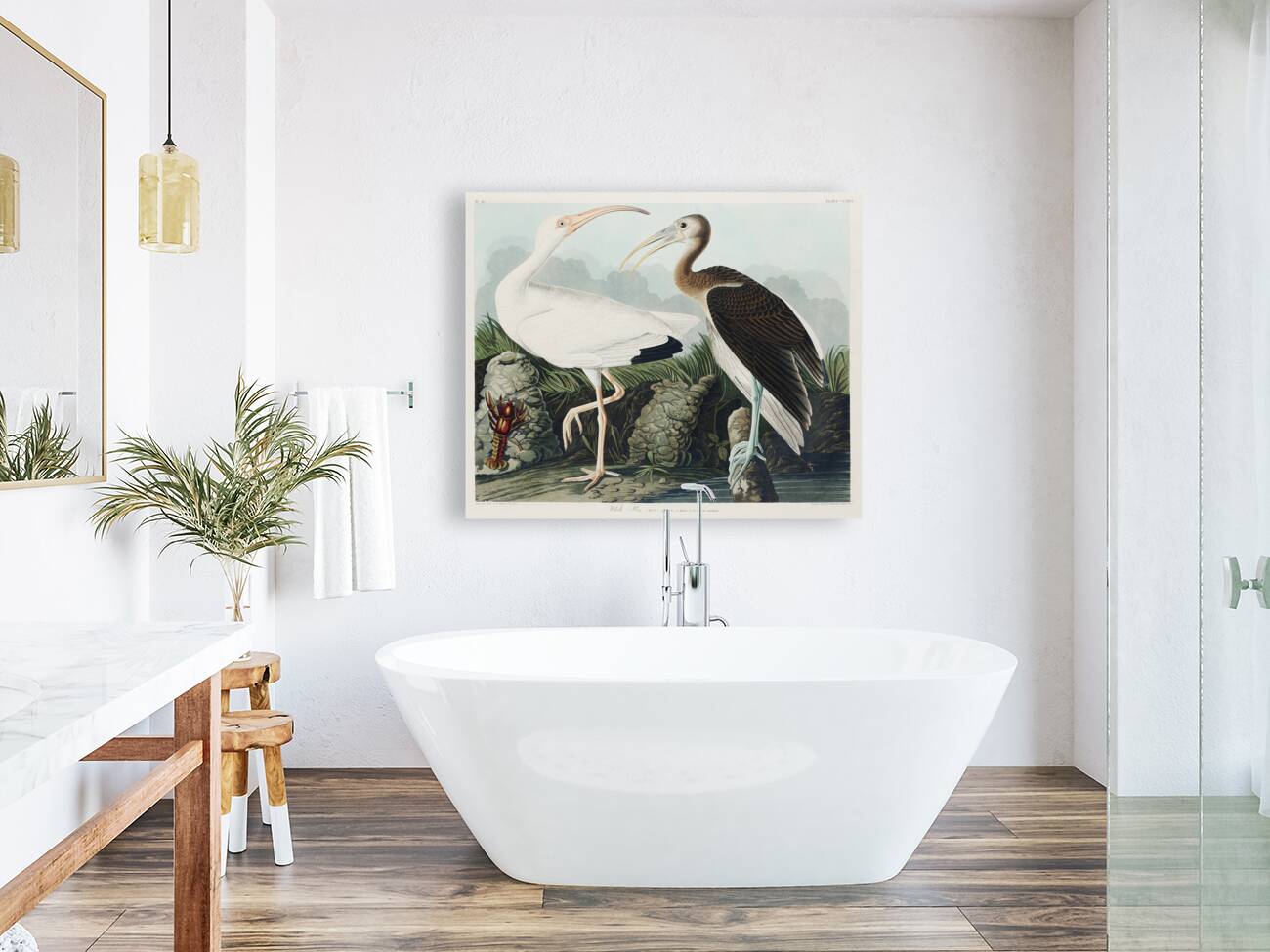 White Ibis Reproduction