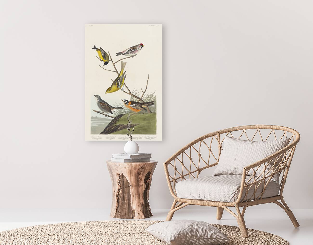 Arkansaw Siskin Mealy Red-poll Louisiana Tanager Townsends Bunting and Buff-breasted Finch Reproduction