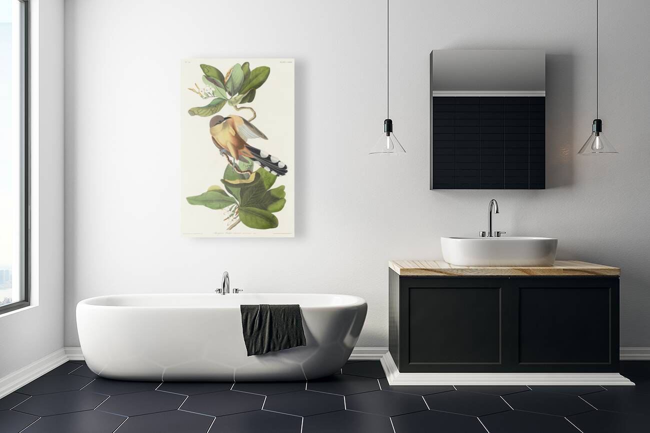 Mangrove Cuckoo Reproduction