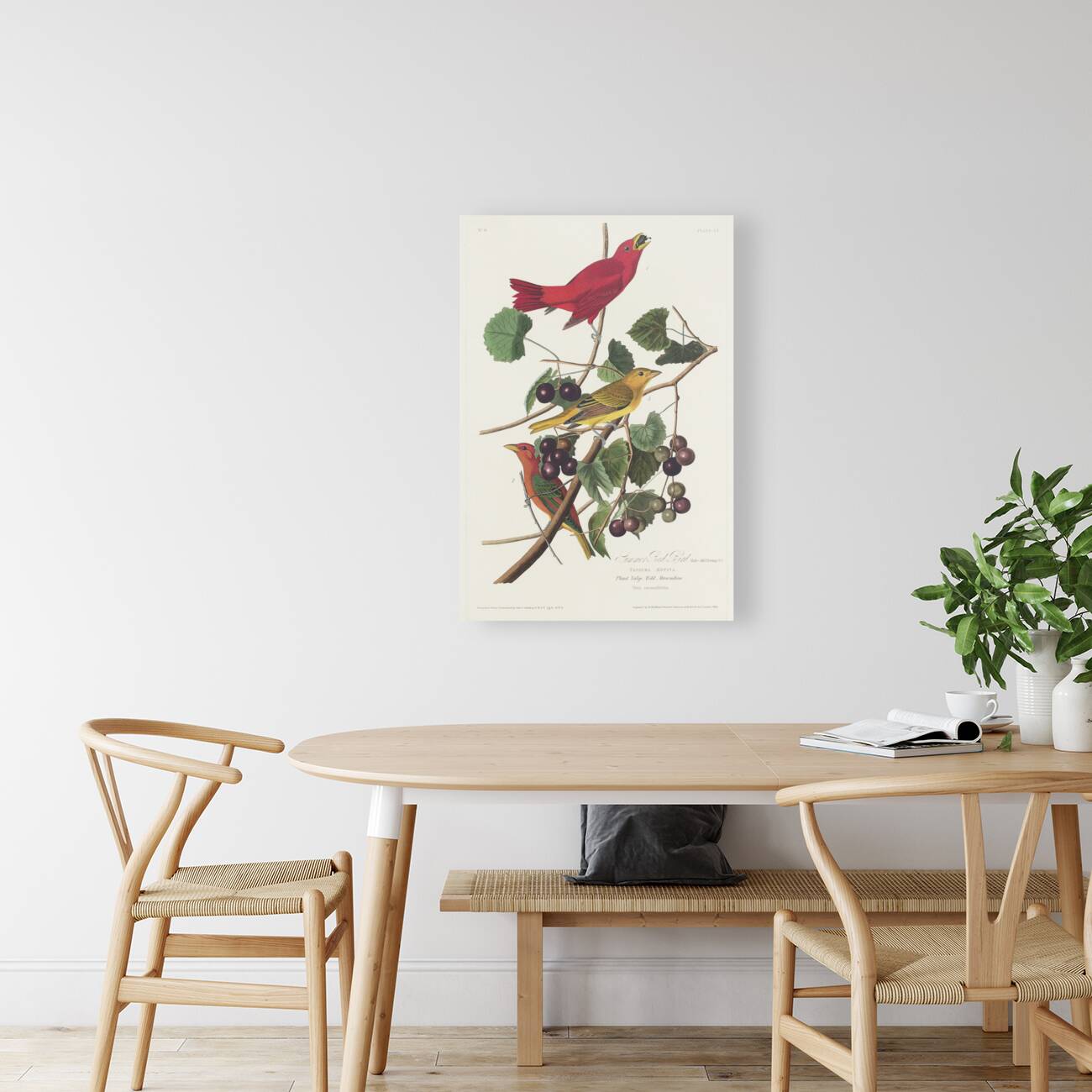 Summer Red Bird Reproduction