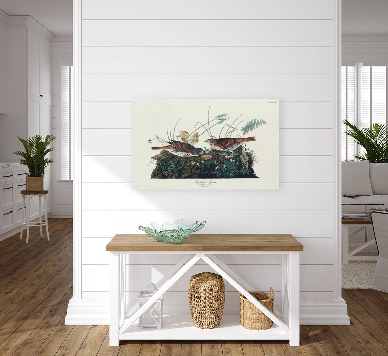 Fox-coloured Sparrow Reproduction