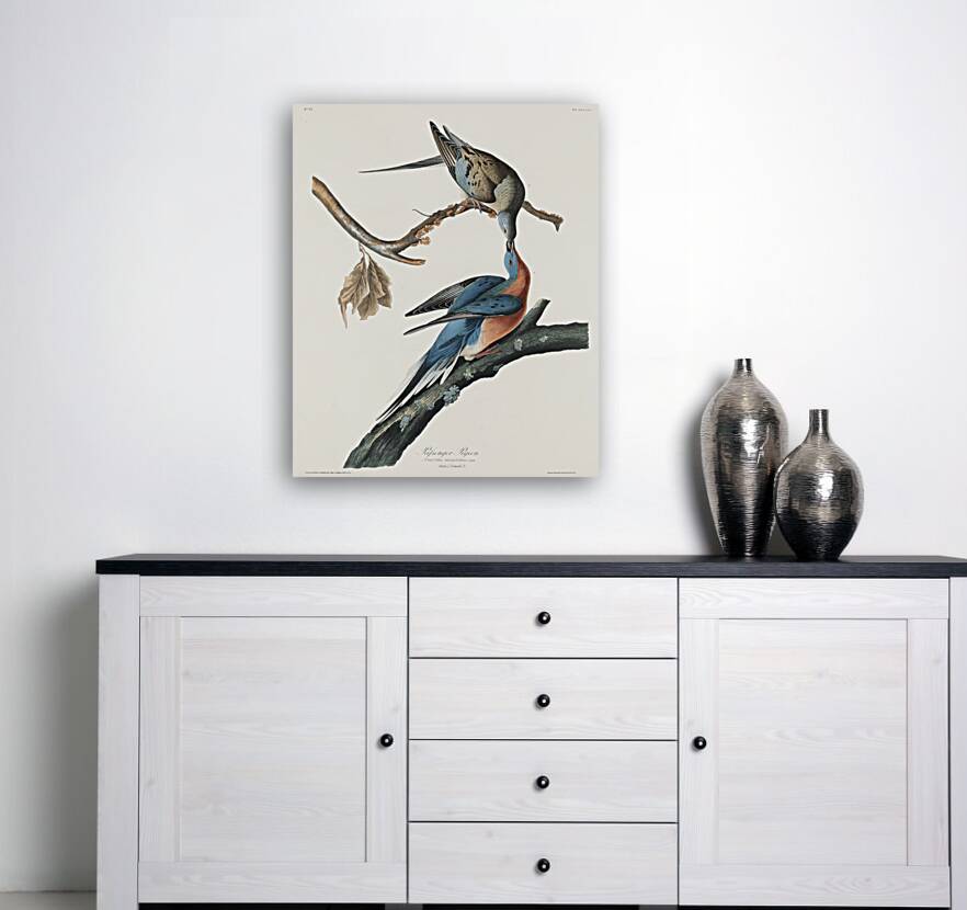 Passenger Pigeon Reproduction